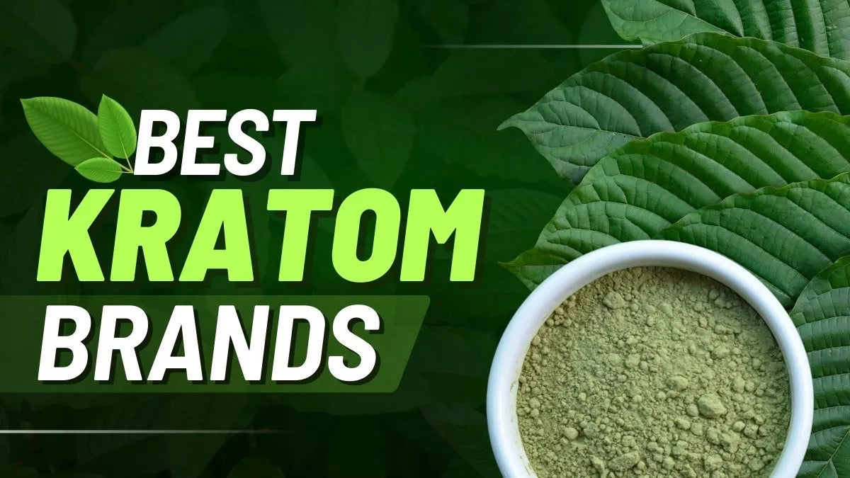 How to Find Affordable, High-Quality Kratom Online