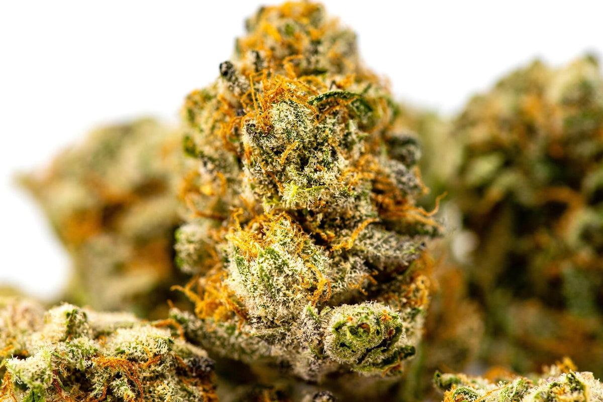 THCA Flower in Houston: The Legal Cannabis Alternative