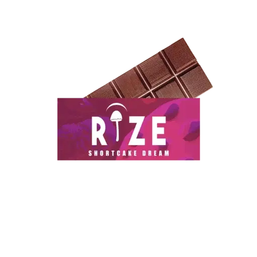 Rize Mushroom Chocolate 5G