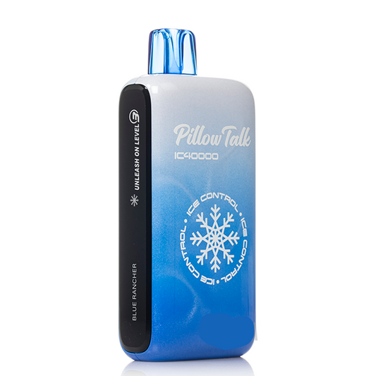 PILLOW TALK IC40000 DISPOSABLE