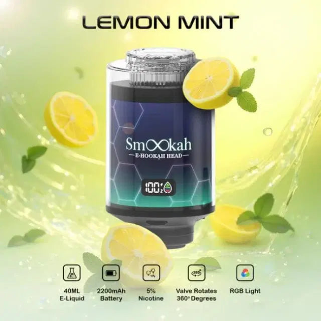 Smookah E-Hookah Head 100K Puffs