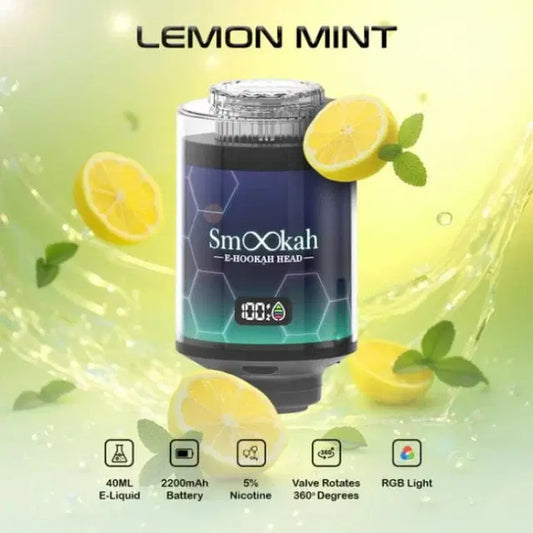 SMOOKAH E-HOOKAH HEAD 100K PUFFS